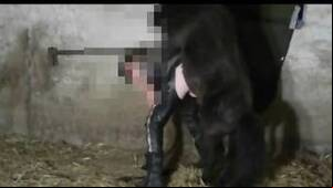hores xxx black porn - horse cum Animal Porn, page 2